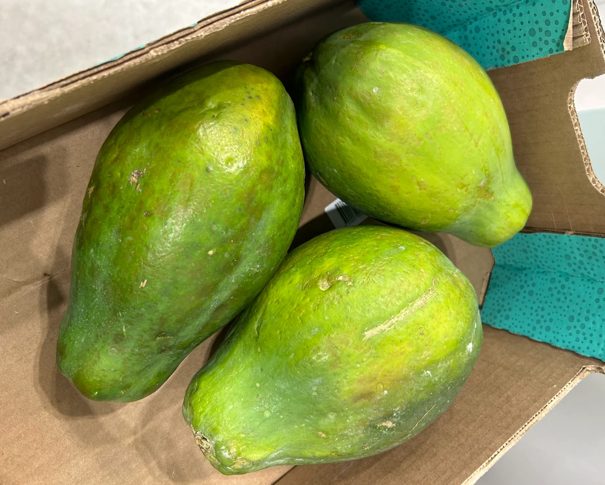 Ex på provsvar för S-Progesteron – Allt om progesteronnivåer och tolkning