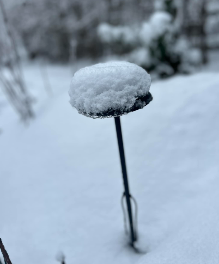 APC resistent och upprepade missfall