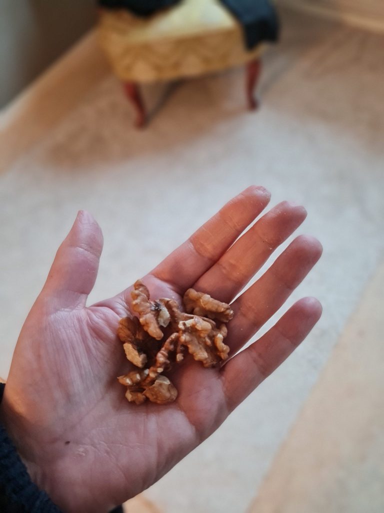 Kan valnötter ersätta omega 3? En expert förklarar.